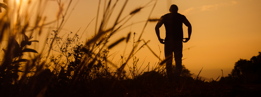 Men's Health: Nourish, Move, Thrive